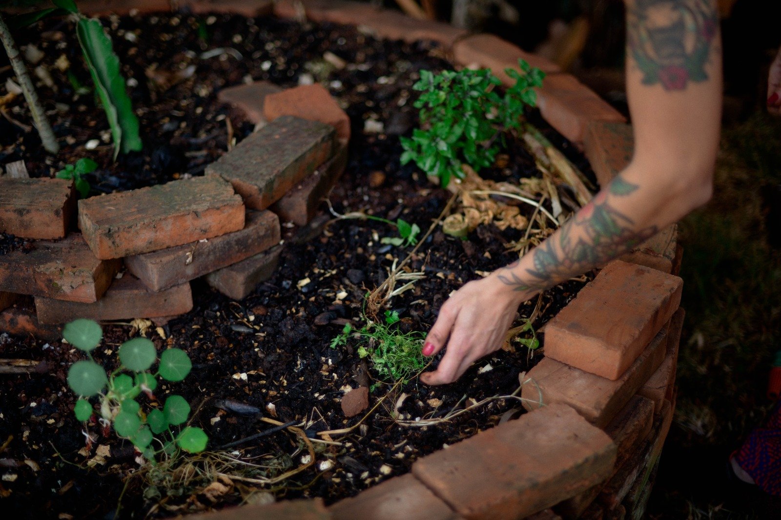 Planejamento paisagístico