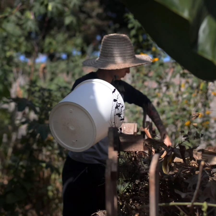 Consultoria ambiental